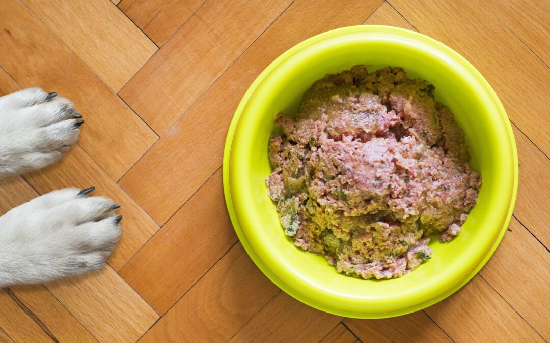 What Will Happen if I Don’t Give Meat to My Dog?