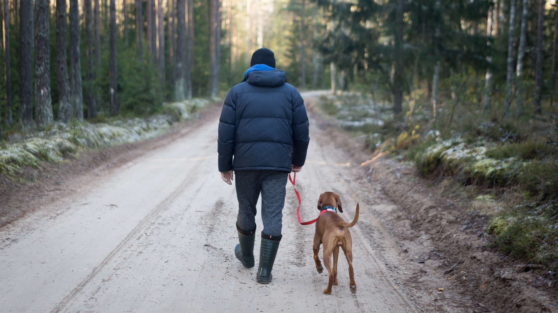 outdoors-3268637_1920 man walking a brown dog